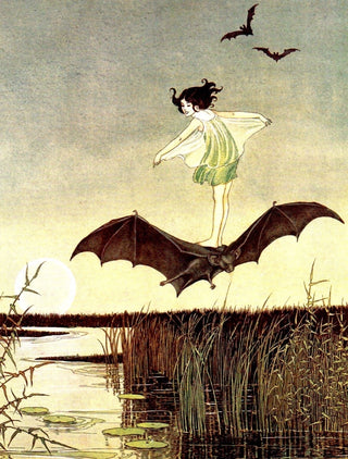 To the Waters and the Wilds Perfume